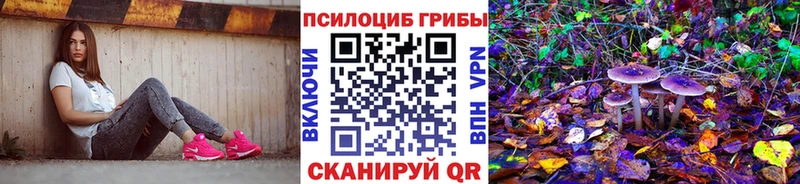 Галлюциногенные грибы Psilocybine cubensis  Купить  Олонец 